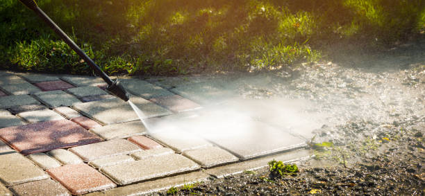 Best Gutter Cleaning  in Pilot Point, TX